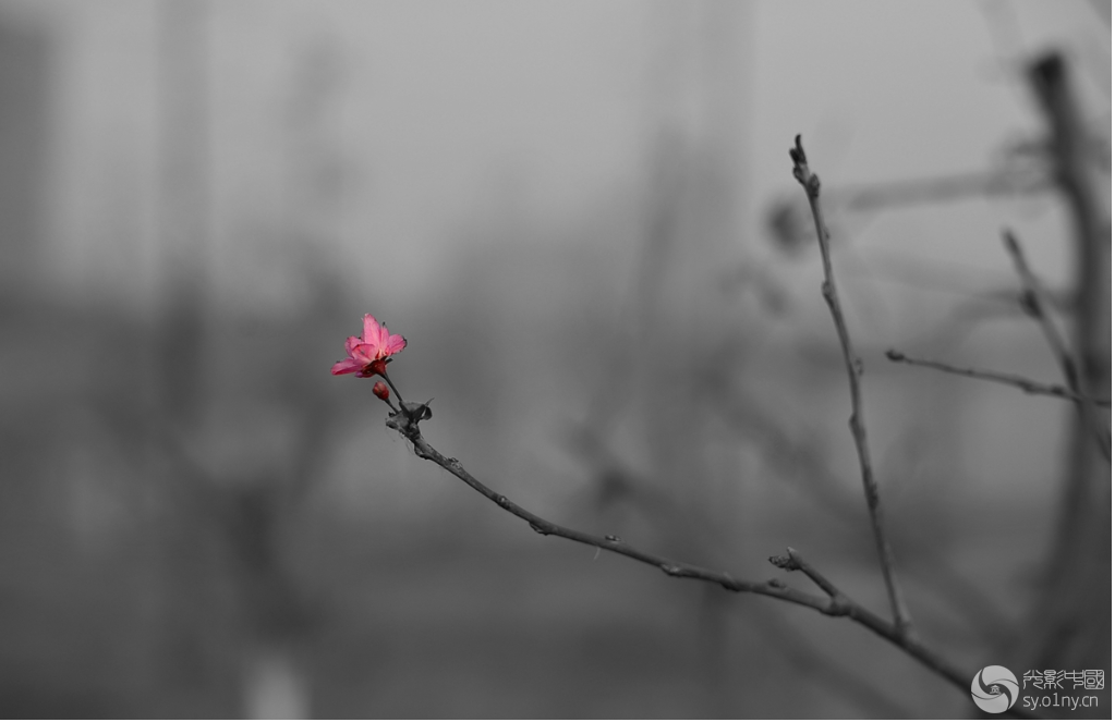 QQͼ20150113104801.png
