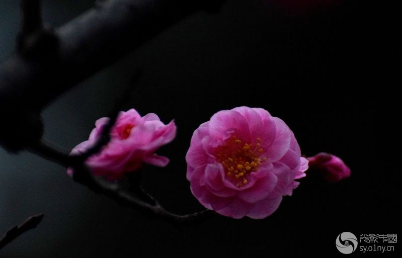 DSC_0029__.jpg