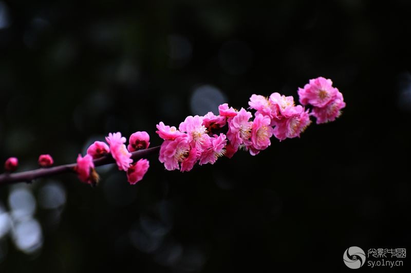 DSC_0024_.jpg