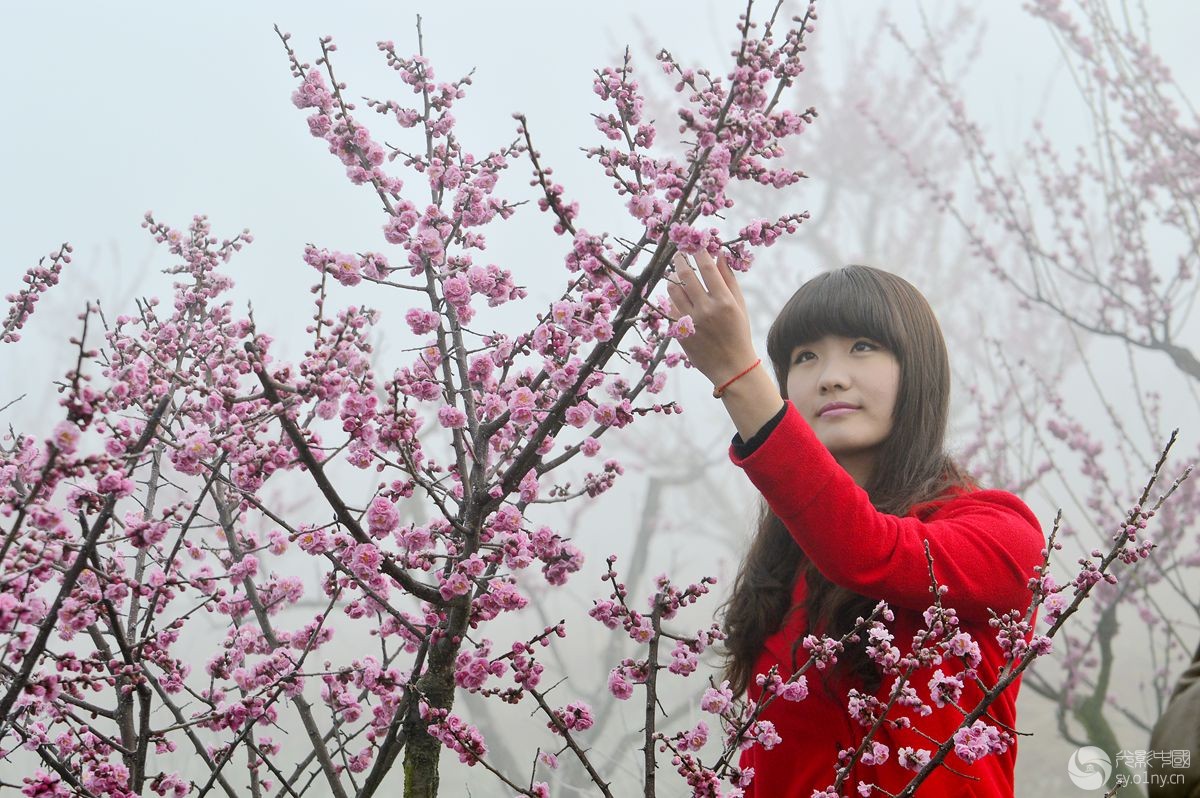 少女雾里看花纪实-新闻纪实-36行南阳社区-36