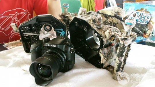 水下寻宝 香港摄影师潜水拾得GH4相机物归原