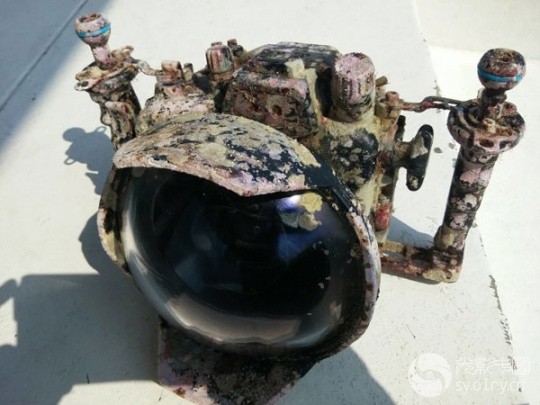 水下寻宝 香港摄影师潜水拾得GH4相机物归原