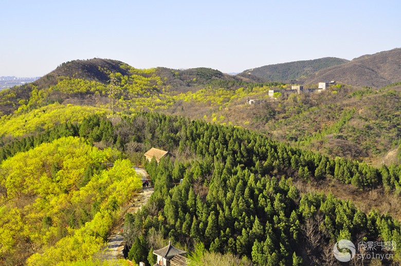 红山风景