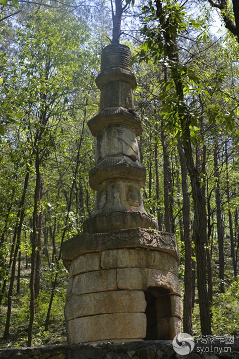 _DSC0066_.jpg