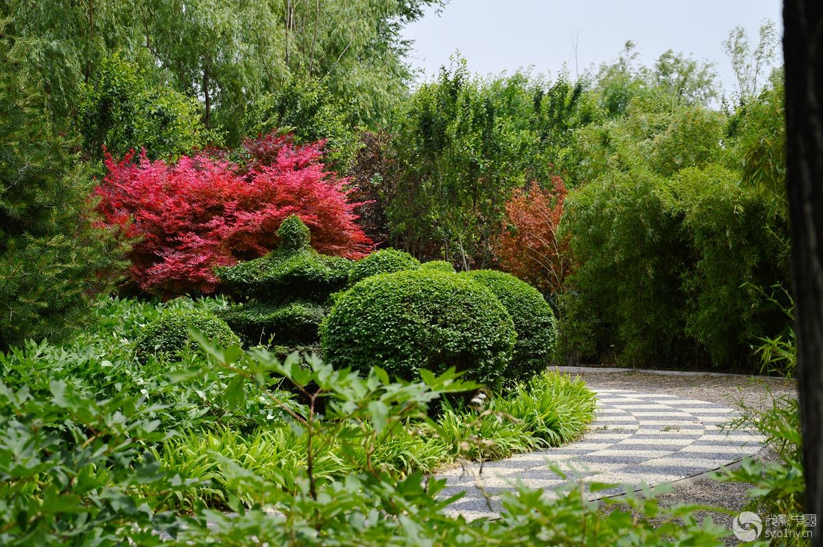 隋唐城遗址植物园花絮