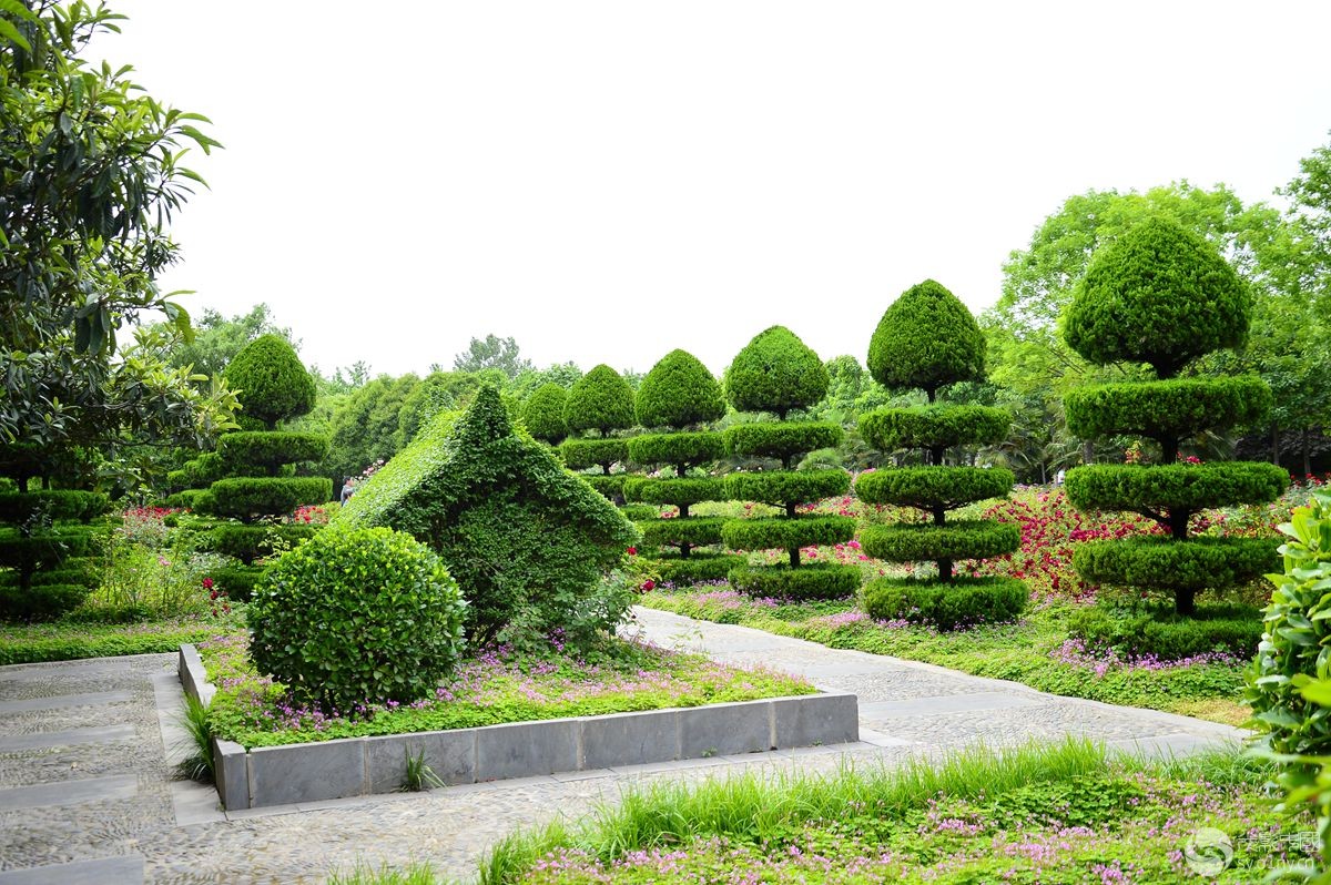 隋唐城遗址植物园掠影