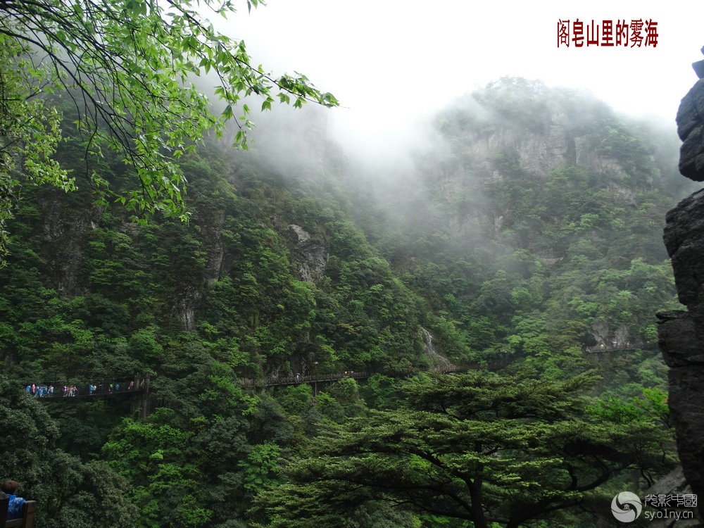 江西阁皂山风景