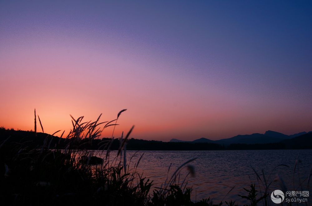 东方欲晓(续)-行摄风光-36行南阳社区-36.01ny