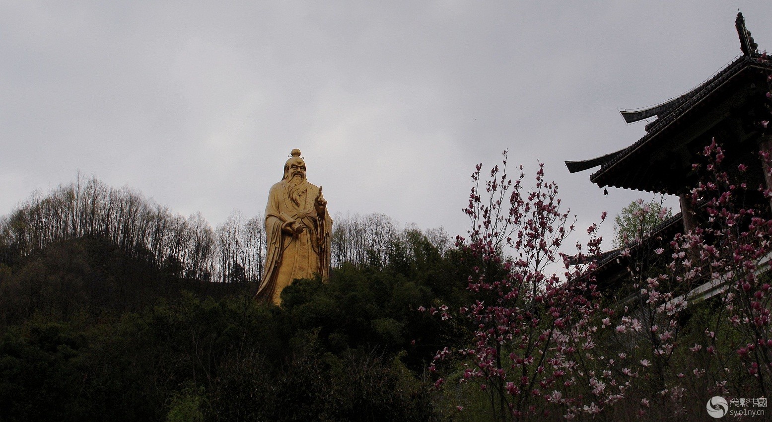 2015 西峡老君洞第六届紫荆花节开幕式 暨"魅力西峡"全国摄影大赛启动