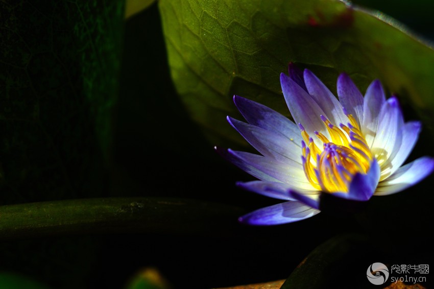 DSC08390_.jpg