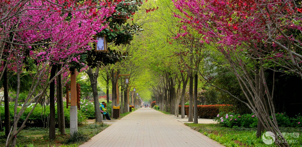 【洛阳行摄】—— 隋唐植物园(12)