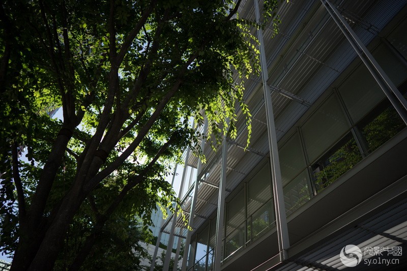 传承色彩与高画质 蔡司Batis 25mm F2实测样片