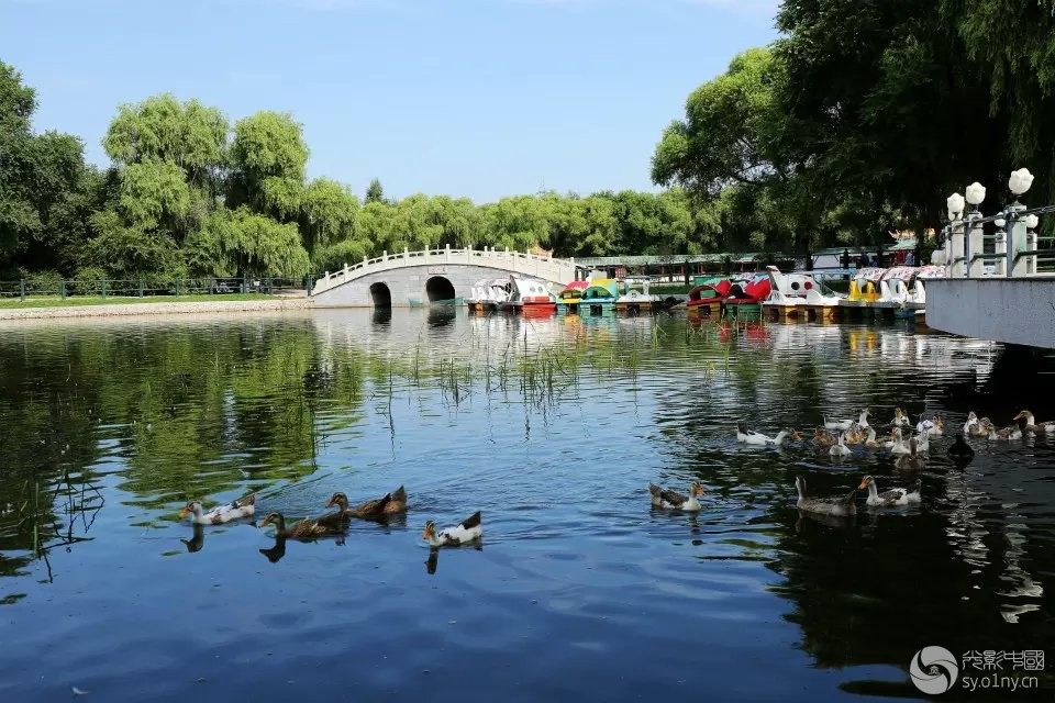 我的城市 我的家 边走边拍 (平房公园随拍)-行摄