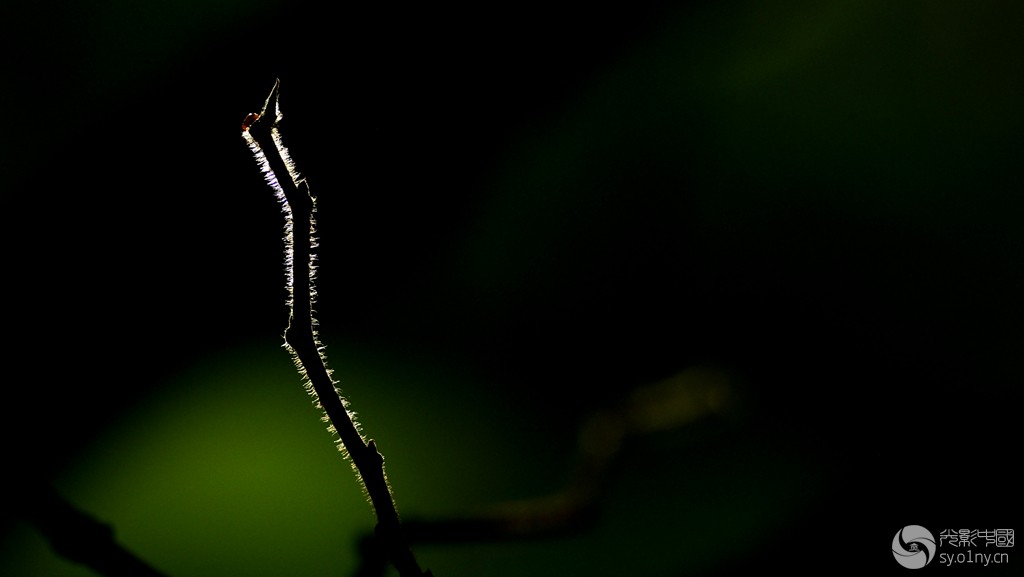 _D8C0008_.jpg
