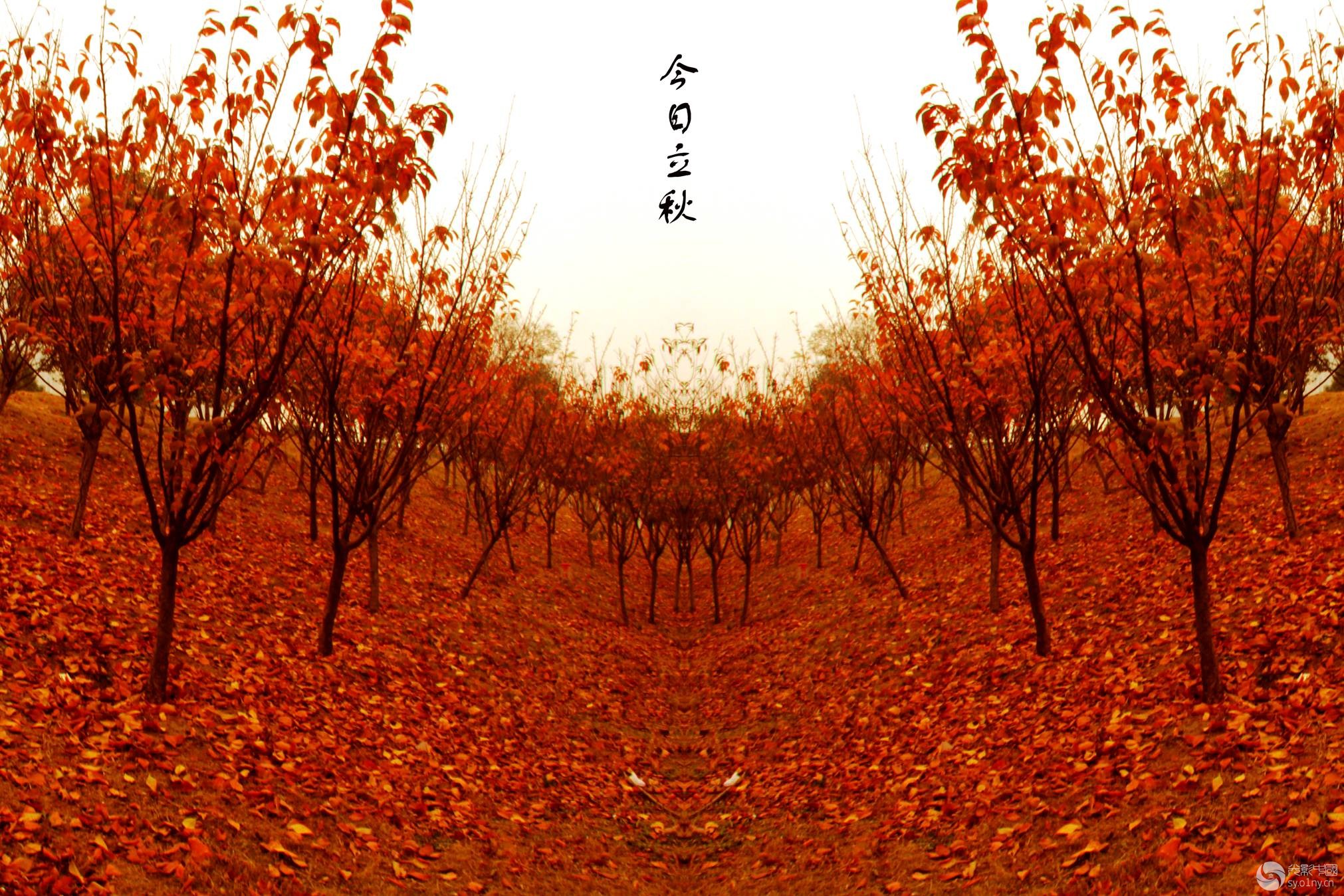 今日立秋-行摄风光-36行南阳社区-36.01ny.cn - 光影中国