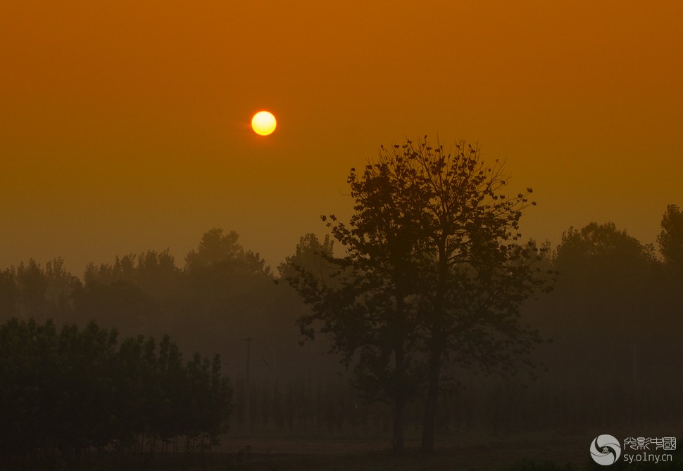 日上三竿-拍客贴图-36行南阳社区-36.01ny.cn -