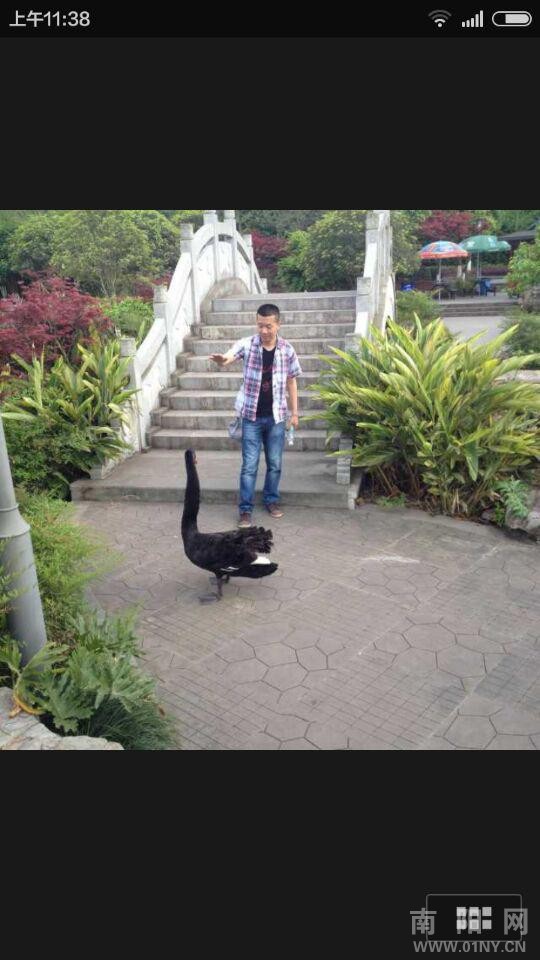 �����ֳ�һ���У��ҵ������Ǿ�