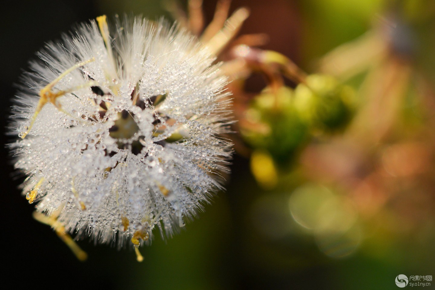 白露点秋霜 盘点在秋季可以拍哪些题材(2)