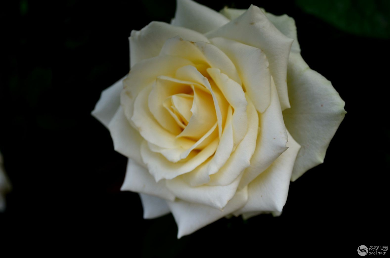 DSC_0351_.jpg