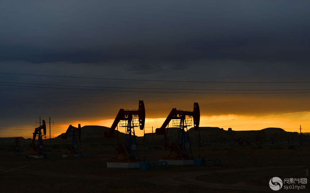 克拉玛依石油城里最辛苦的劳动者-行摄风光