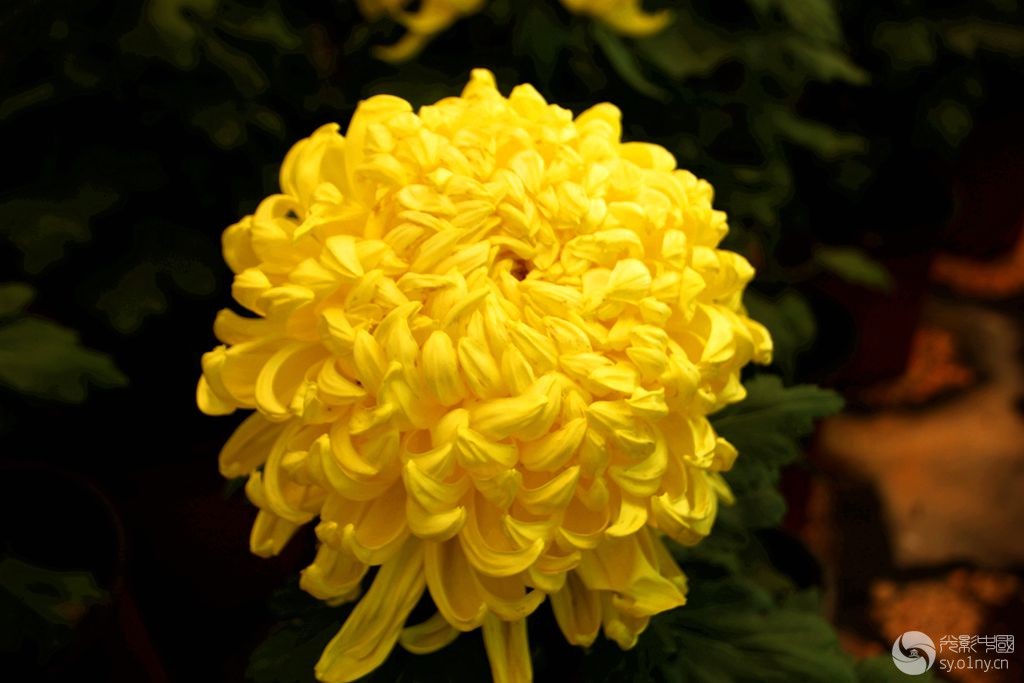 IMG_8443_.jpg