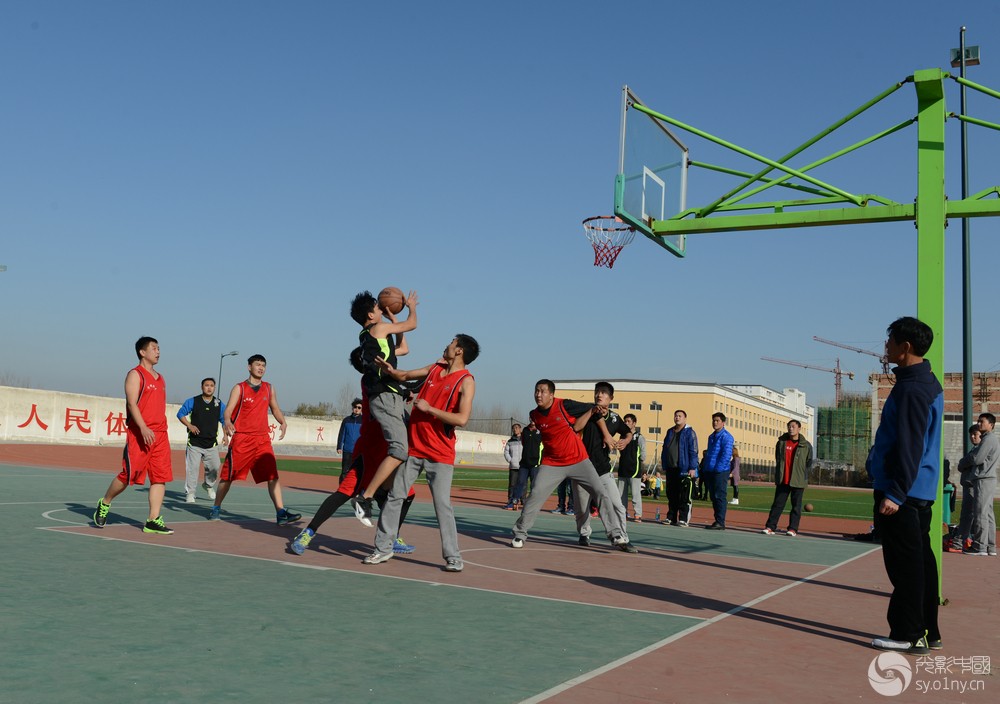方城县2015职工篮球赛1-拍客贴图-36行南阳社