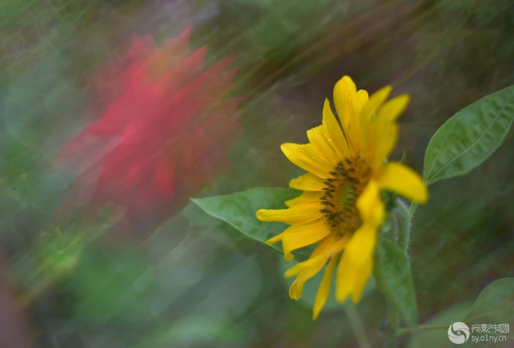 DSC_8372_.jpg