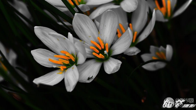 DSC_0064.jpg