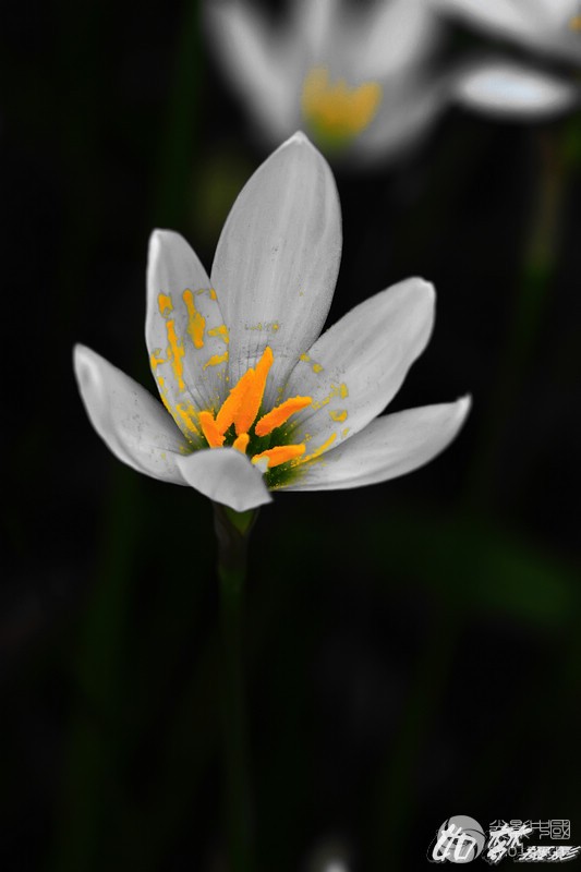 DSC_0065.jpg