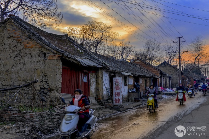 _DSC7848-------.jpg