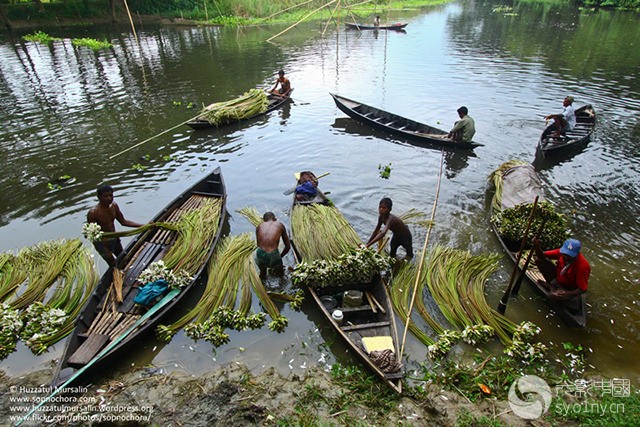 世界最贫穷国家什么样?真实的孟加拉生活(4)