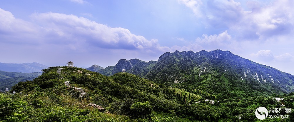 3月26日平顶山1部 走进方城七峰山连翘花节暨摄影基地