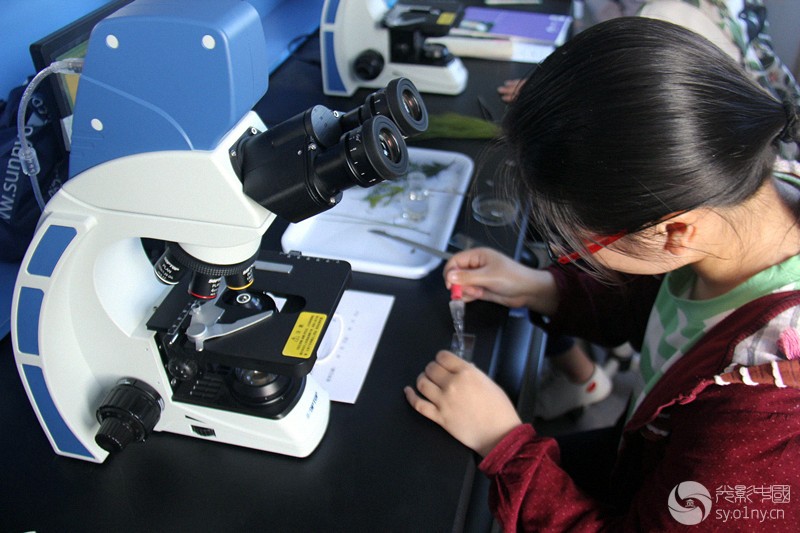 师生同堂学习显微镜下观察植物