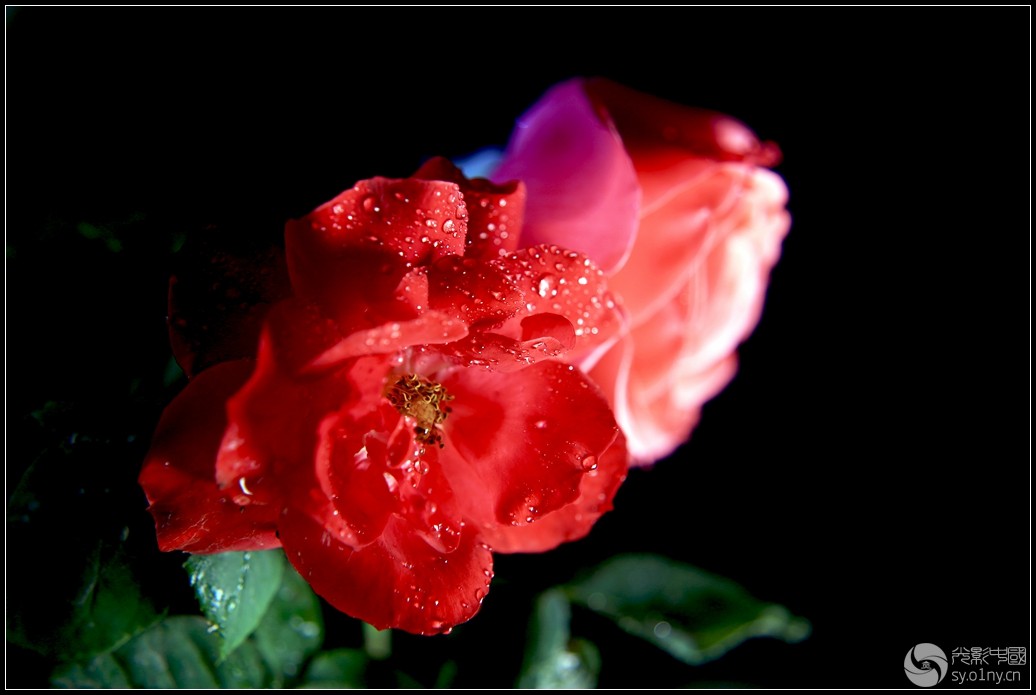 UC6A8719.jpg