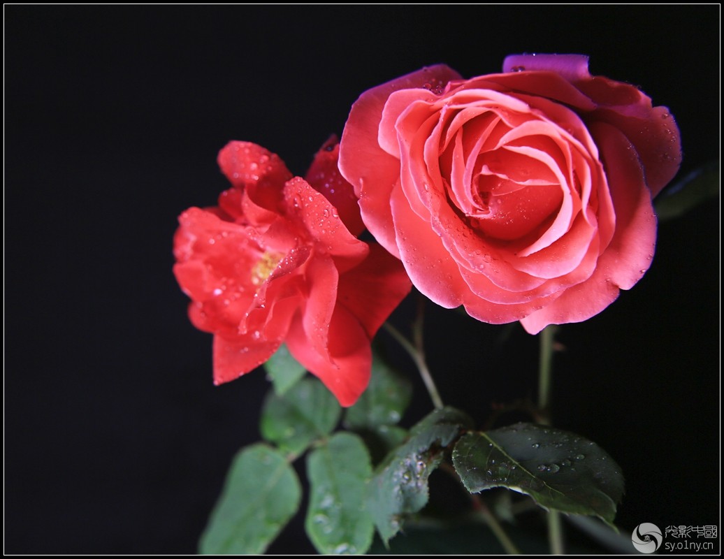 UC6A8715.jpg