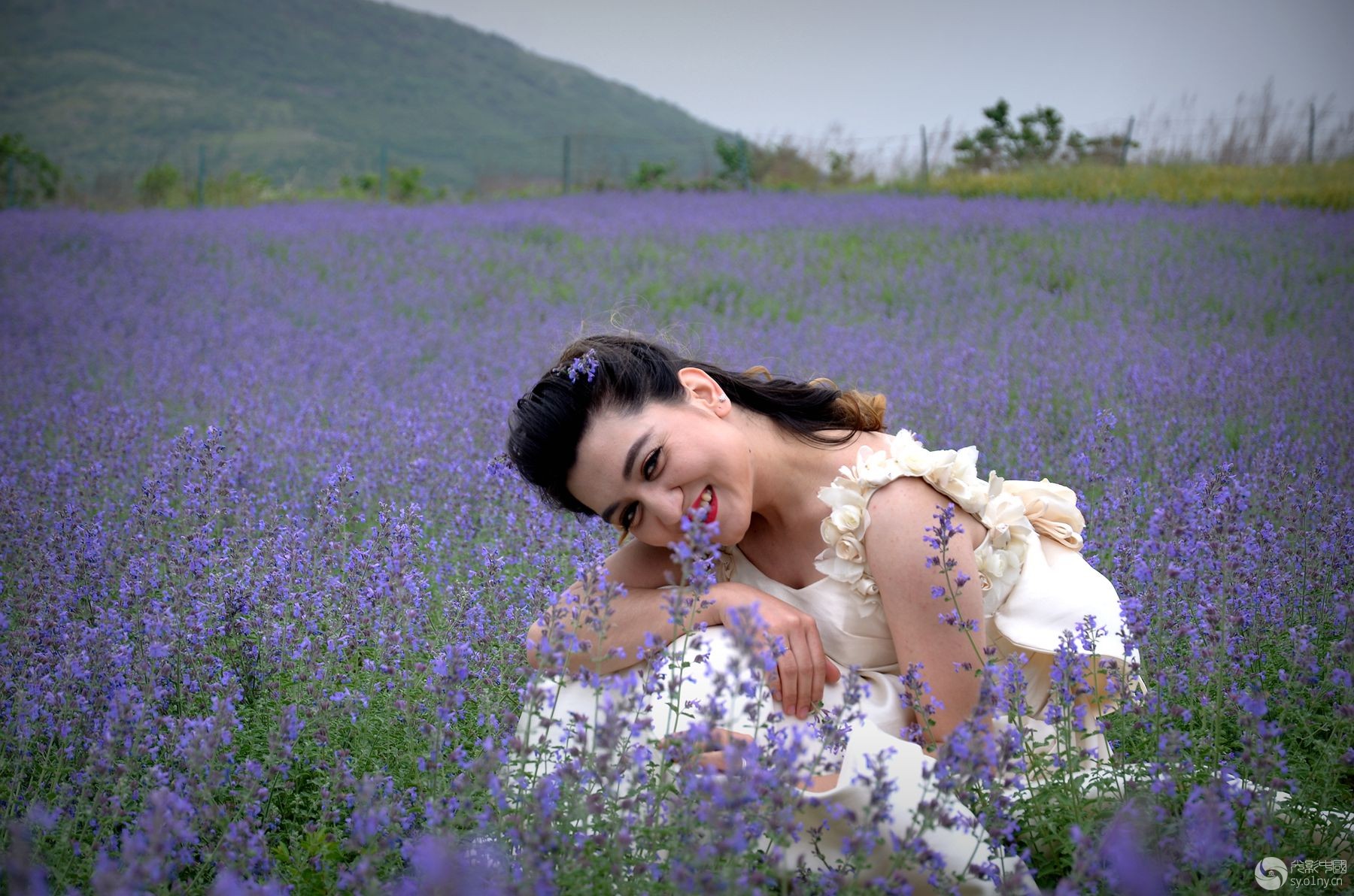 紫海麦浪~西域美女篇