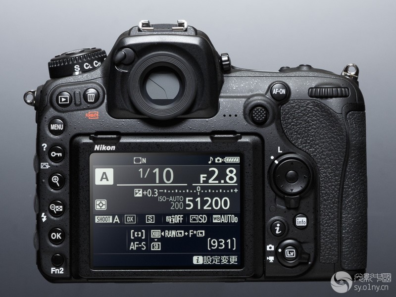 Nikon-D500DW-3.jpg