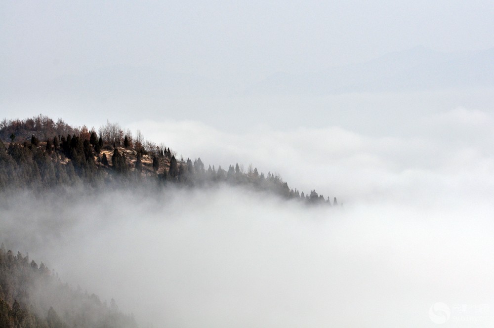 DSC_0086.jpg