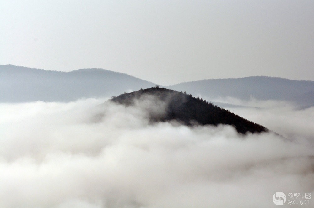 DSC_0094.jpg