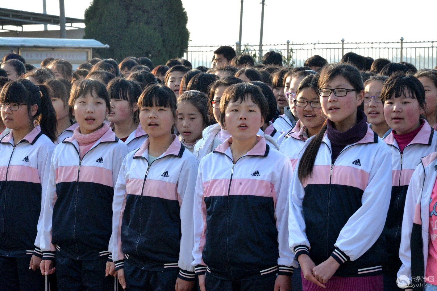 庄严时刻-学校升旗仪式纪实-新闻纪实-36行南