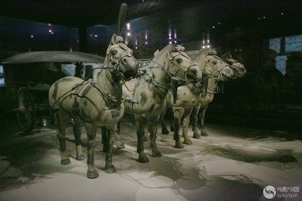 战马的雄风————兵马俑展览馆的战车