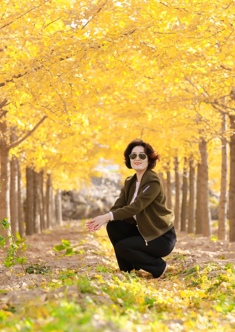 秋 色人物人像光影中国网36.01ny.cn Powered by Discuz!