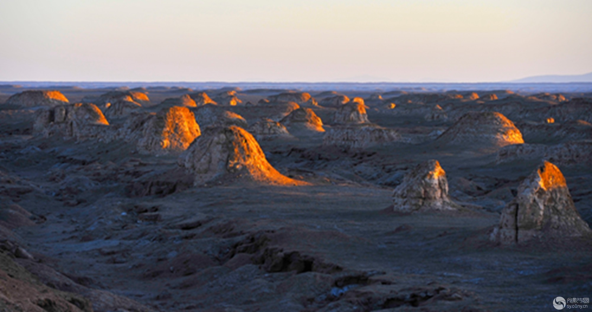 _DSC4479.jpg