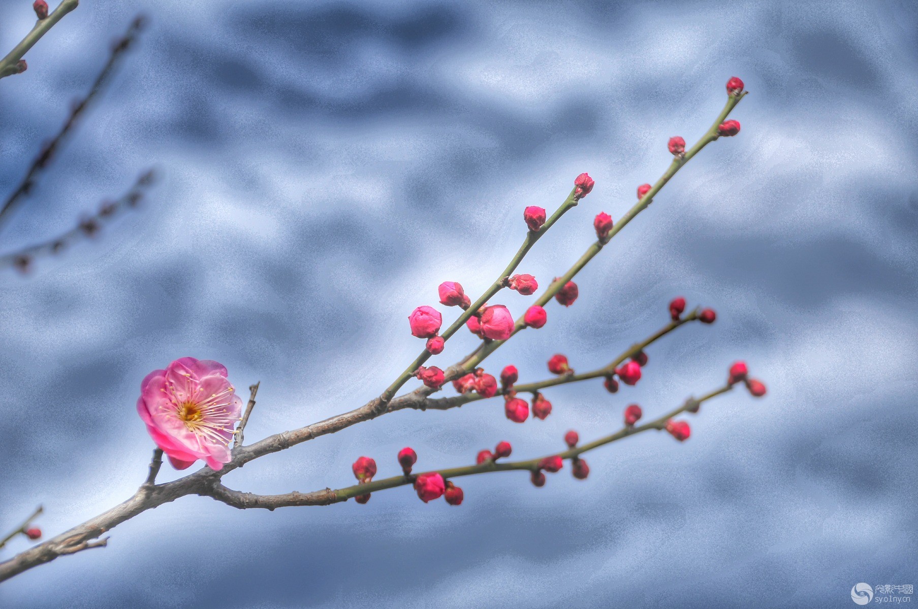 DSC_2056-01.jpeg