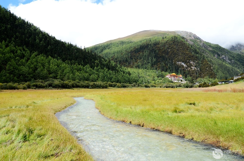 CHL_2588_.jpg