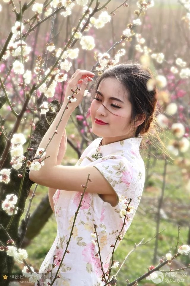 三生三世十里梅花约-人物人像-36行南阳社区-