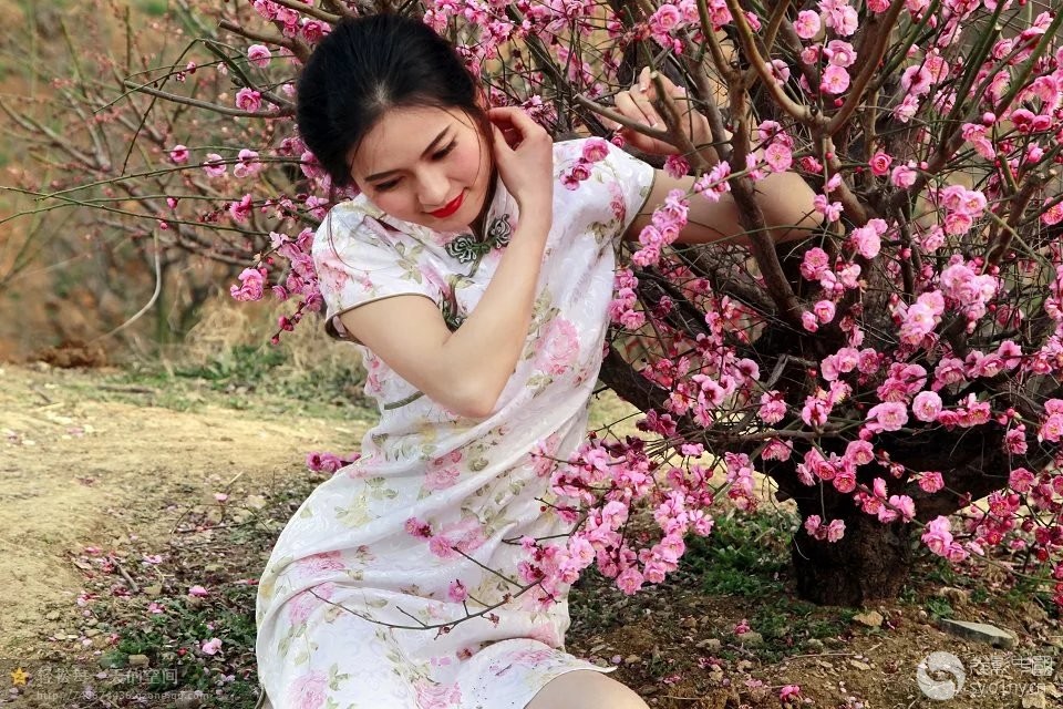 三生三世十里梅花约-人物人像-36行南阳社区-