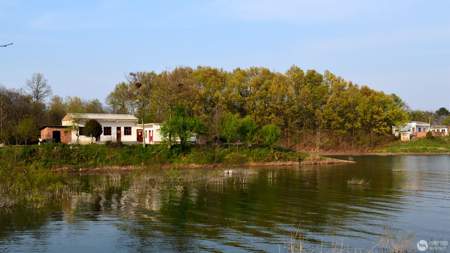 DSC_5276.JPG