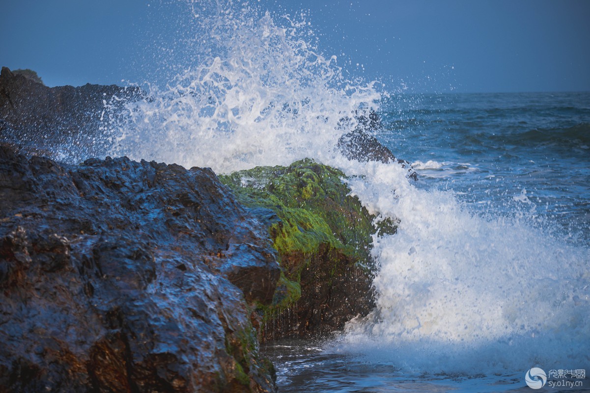 _DSC6305_.jpg