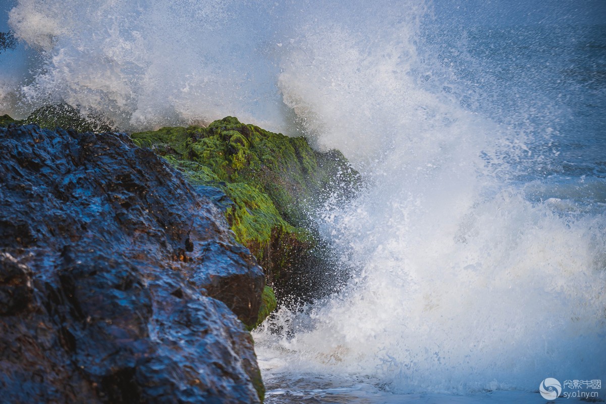 _DSC6310_.jpg